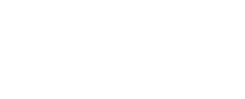 ElectroPro